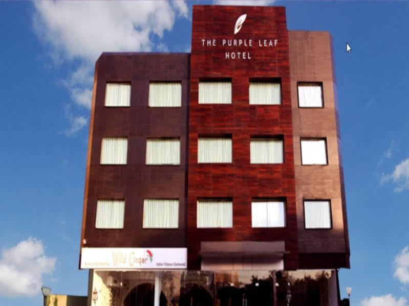 The Purple Leaf Hotels Hyderabad Exterior photo